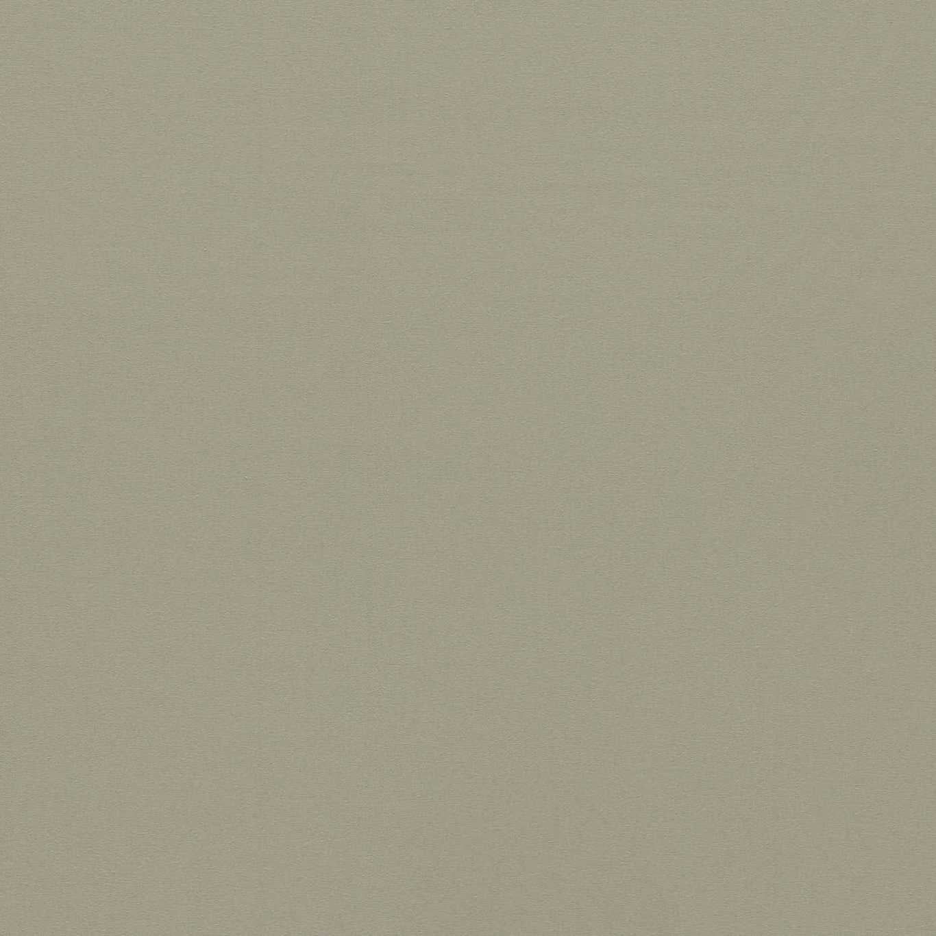 Empower Plain Stone Fabric By Harlequin