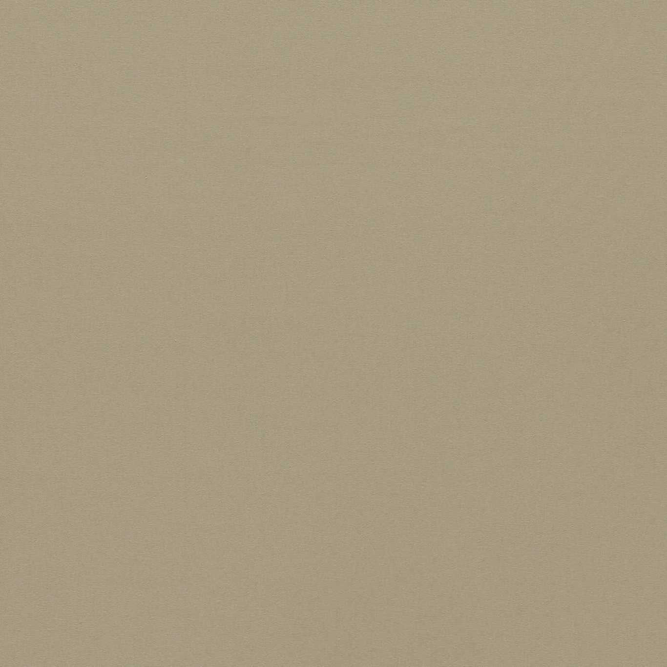 Empower Plain Pebble Fabric By Harlequin