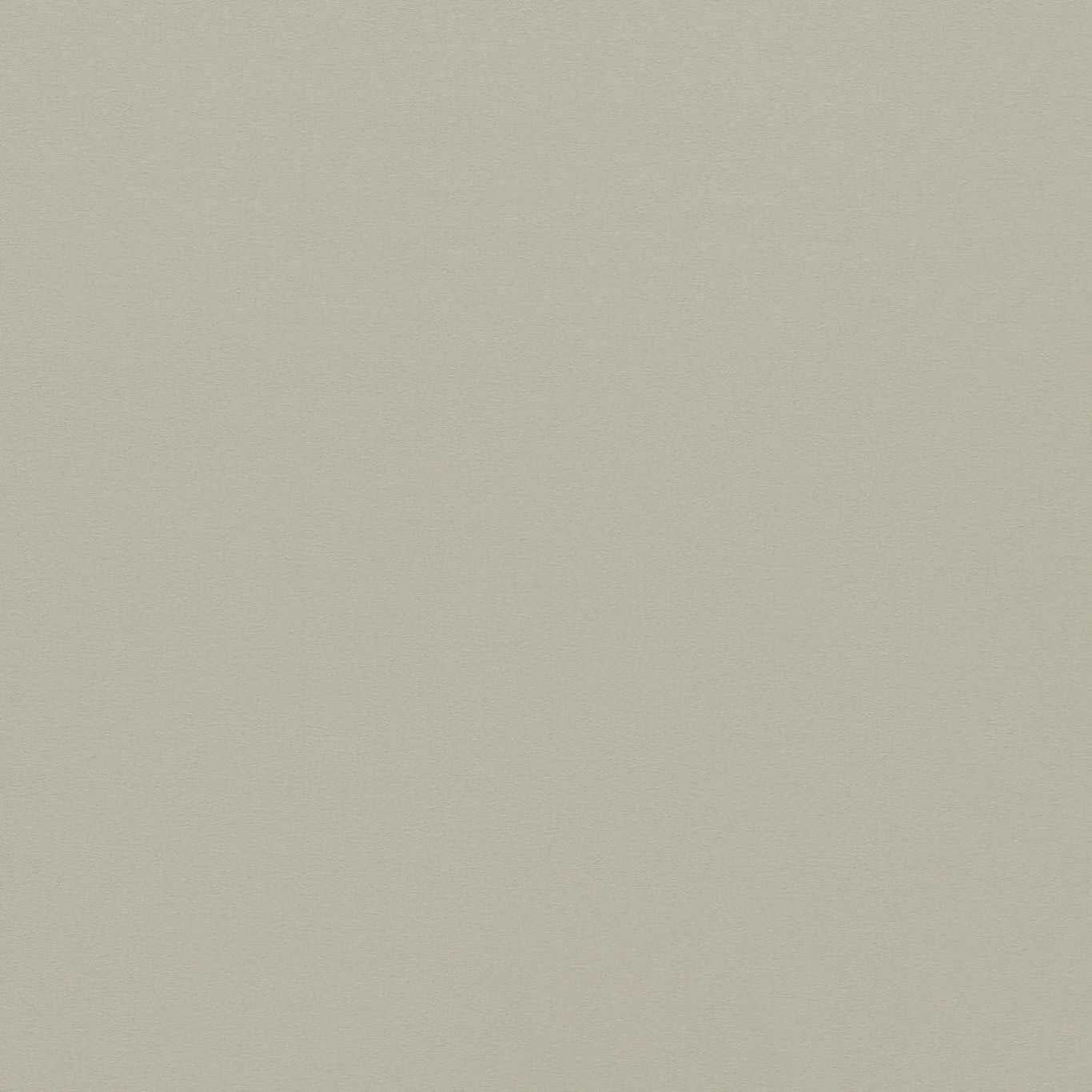 Empower Plain Mineral Fabric By Harlequin