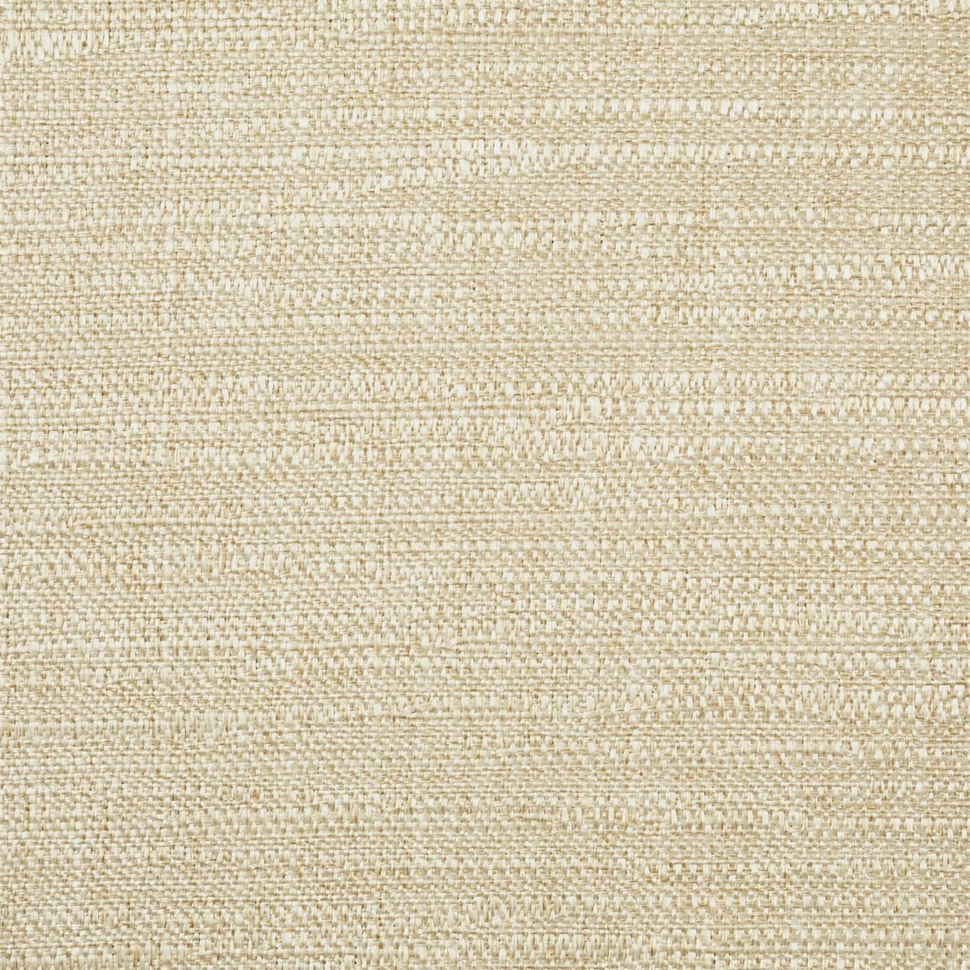 Extensive Cashew Fabric By Harlequin