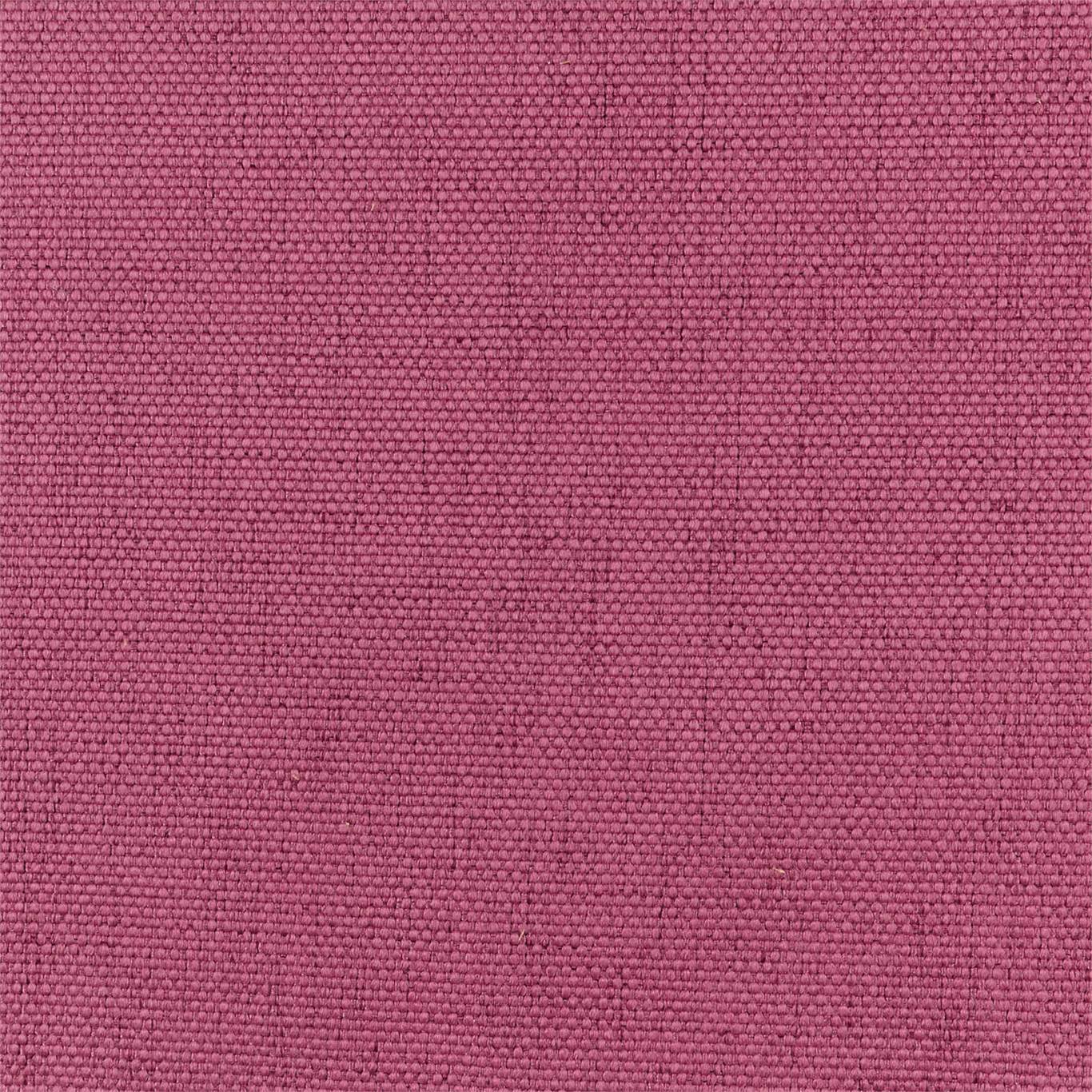 Function Petunia Fabric By Harlequin