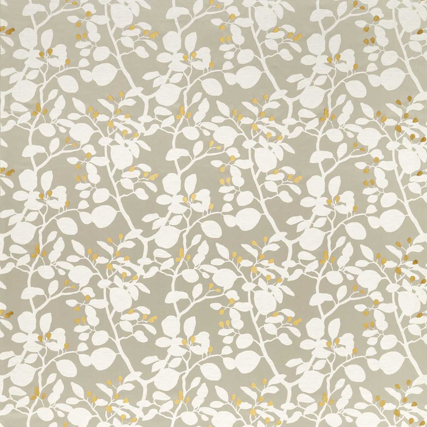 Ardisia Diffused Light Fabric By Harlequin