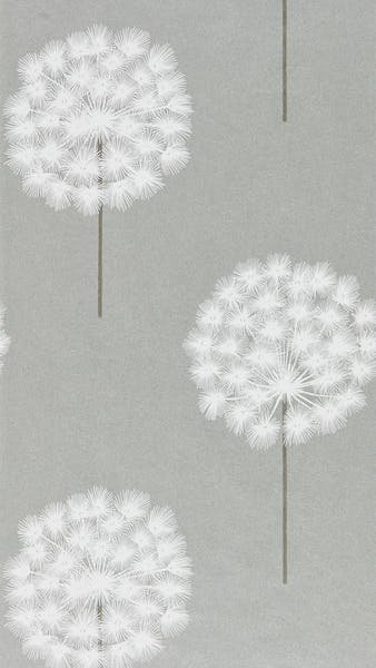 Harlequin Amity Wallpaper HPUT111889 by Harlequin