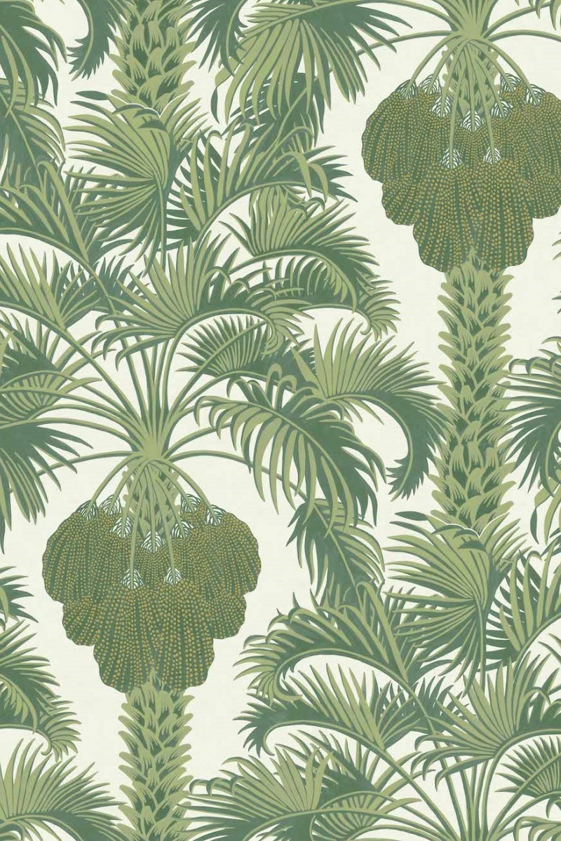 Hollywood Palm Wallpaper 113-1004 by Cole & Son