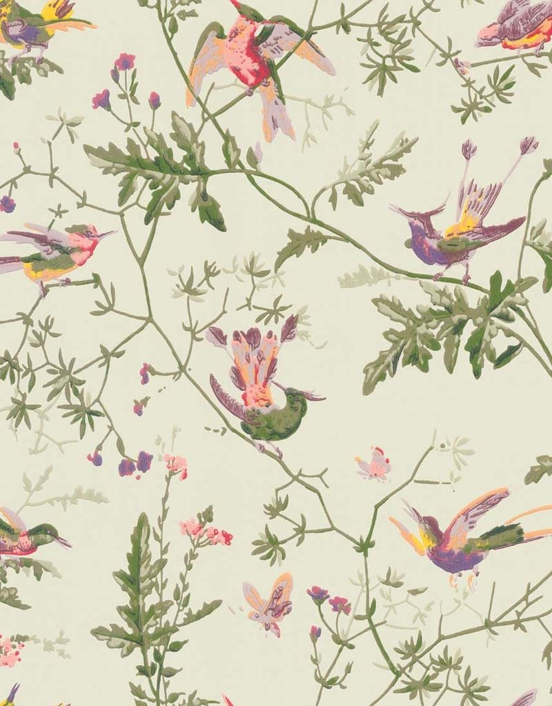 Hummingbirds Wallpaper 100-14070 by Cole & Son