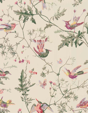 Hummingbirds Wallpaper 100-14071 by Cole & Son