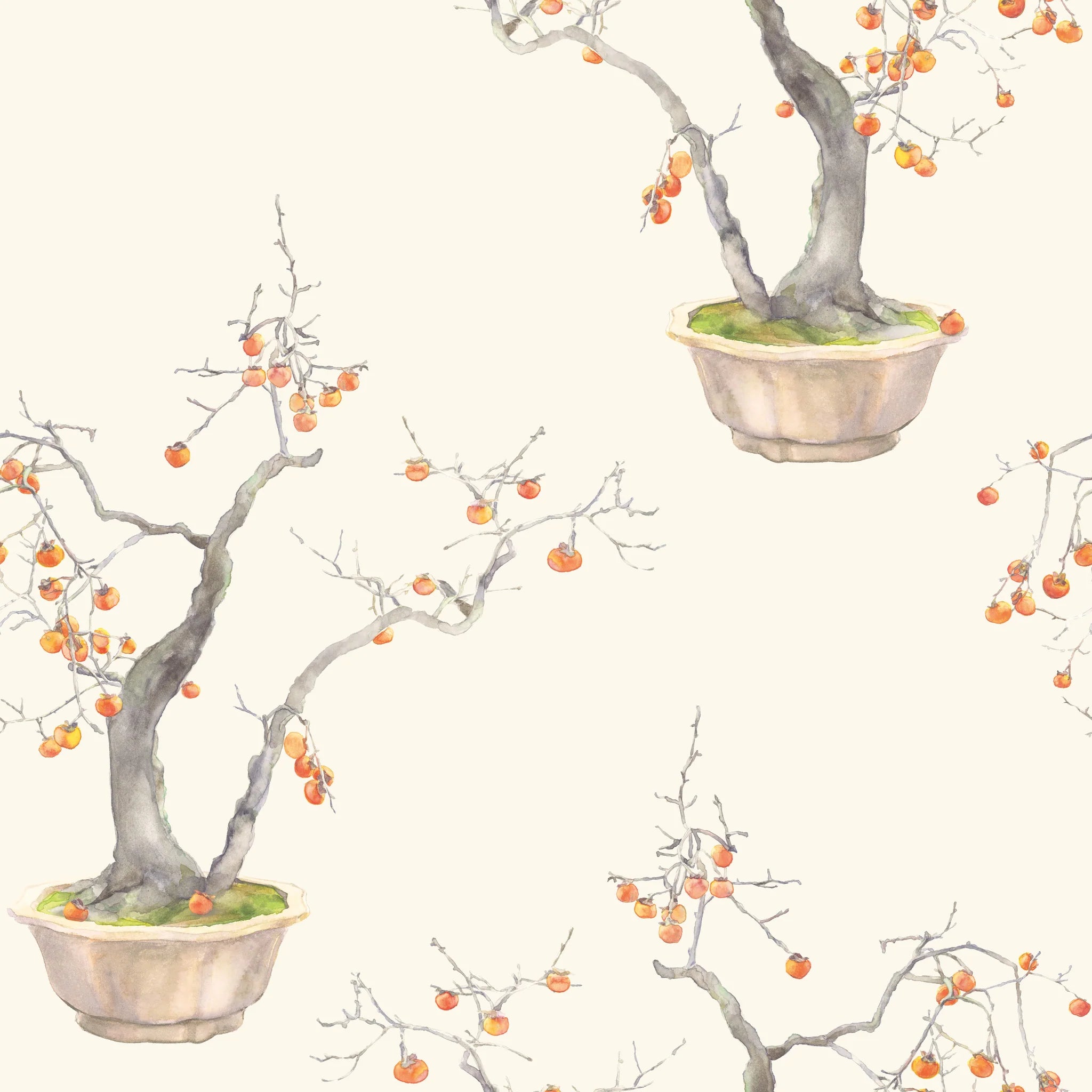 Kaki Persimmon Wallpaper by Cole and Son 126/2003