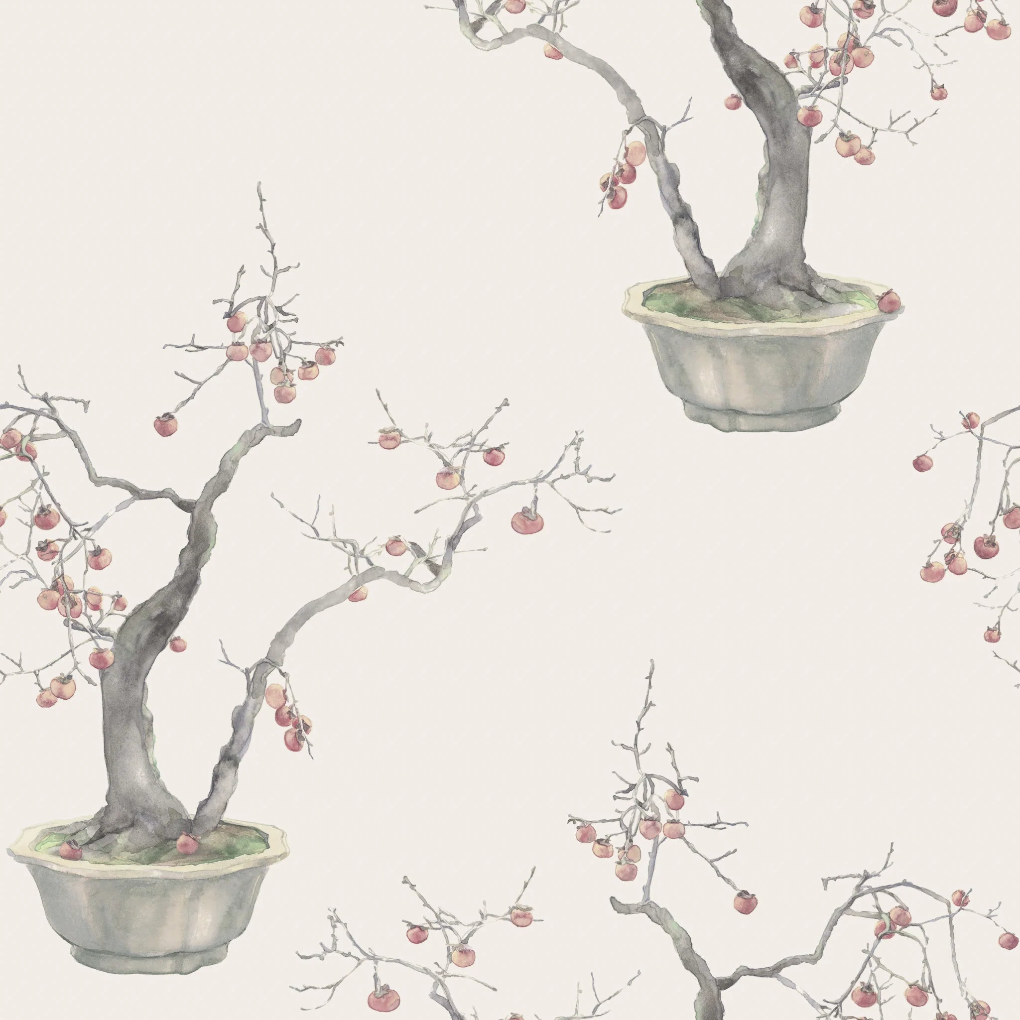 Kaki Persimmon Wallpaper by Cole & Son 126/2004