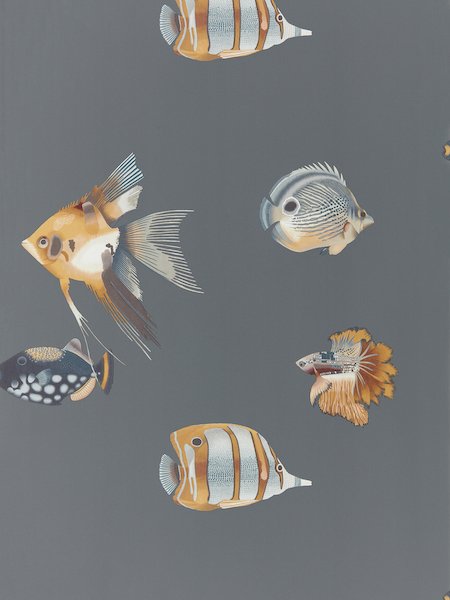 Kamanu Wallpaper HANZ111648 by Harlequin