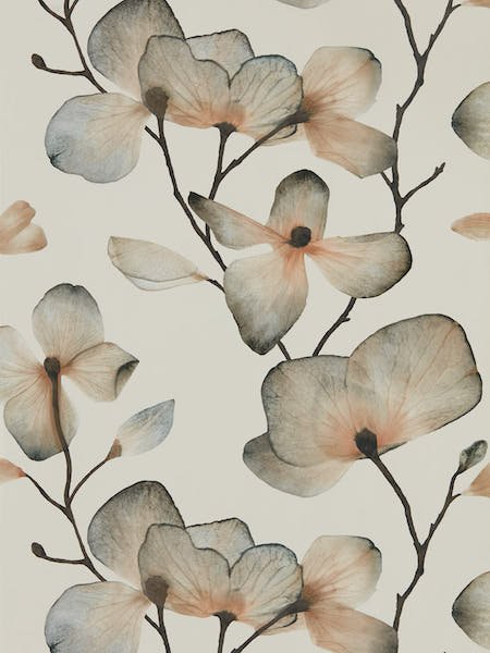 Kienze Wallpaper HMWF111960 by Harlequin