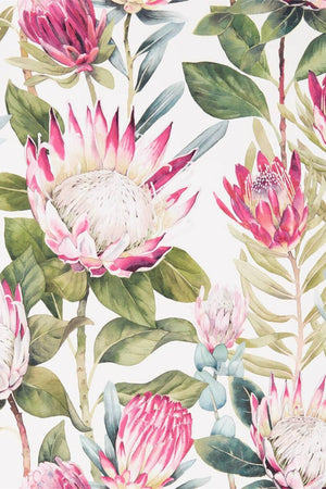 King Protea Wallpaper DGLW216646 by Sanderson