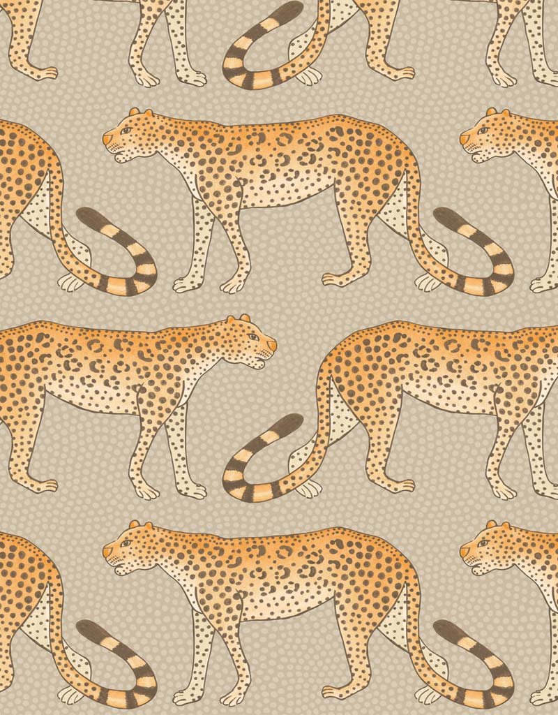 Leopard Walk Wallpaper 109-2010 by Cole & Son