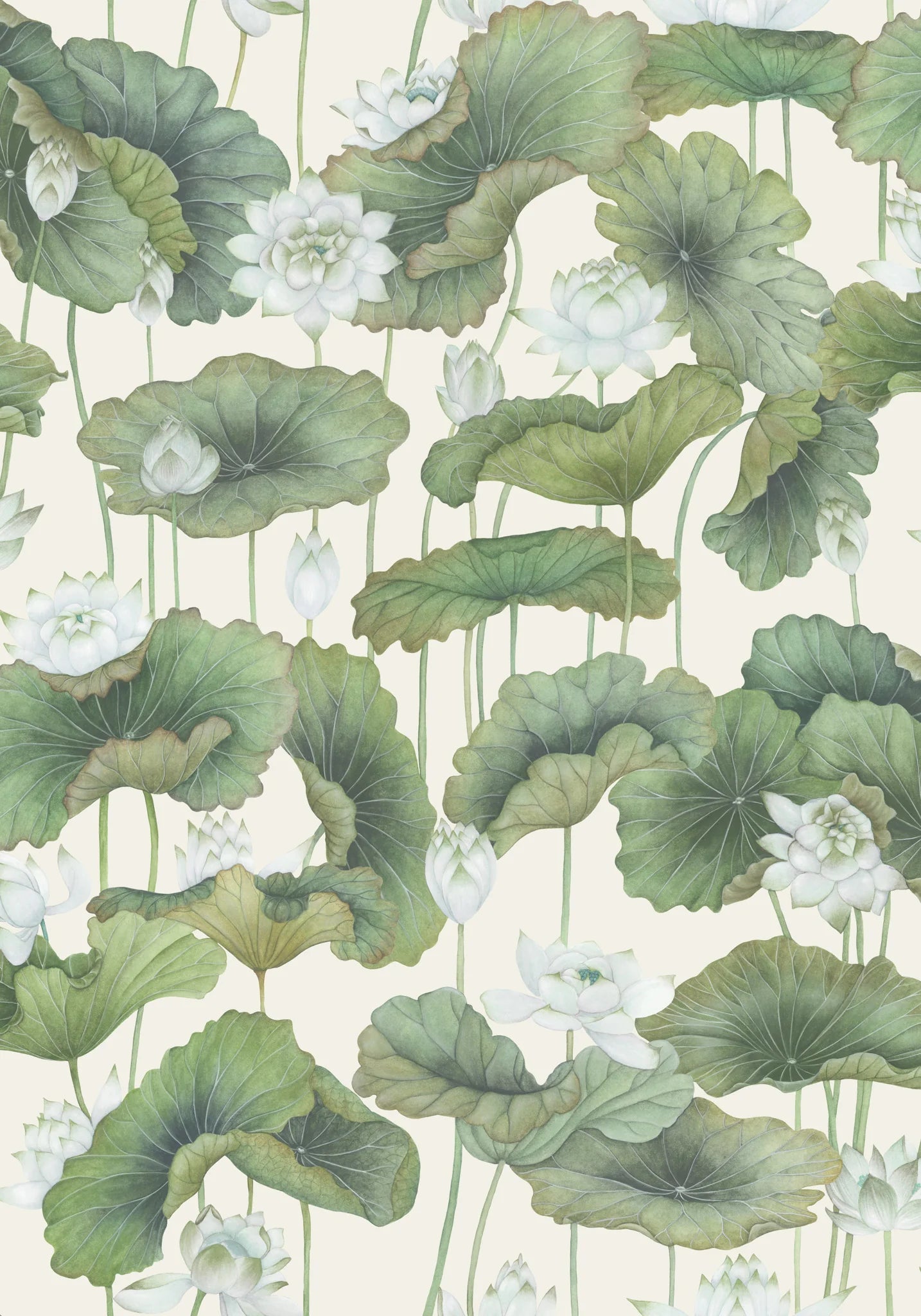 Lily Lotus wallpaper by Cole & Son 126/9034
