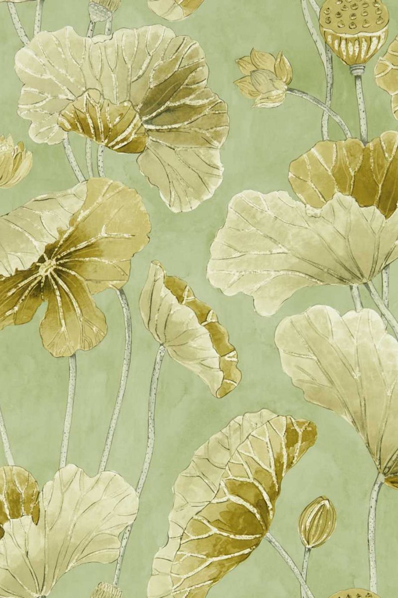 Lotus Leaf Wallpaper DWAW217126 by Sanderson