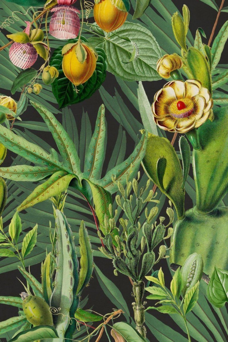Luscious Flora Wallpaper WP20518 by Mind The Gap