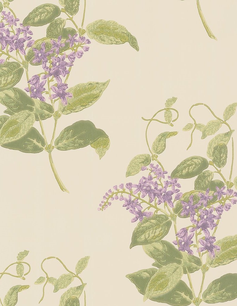 Madras Violet Wallpaper 100-12056 by Cole & Son