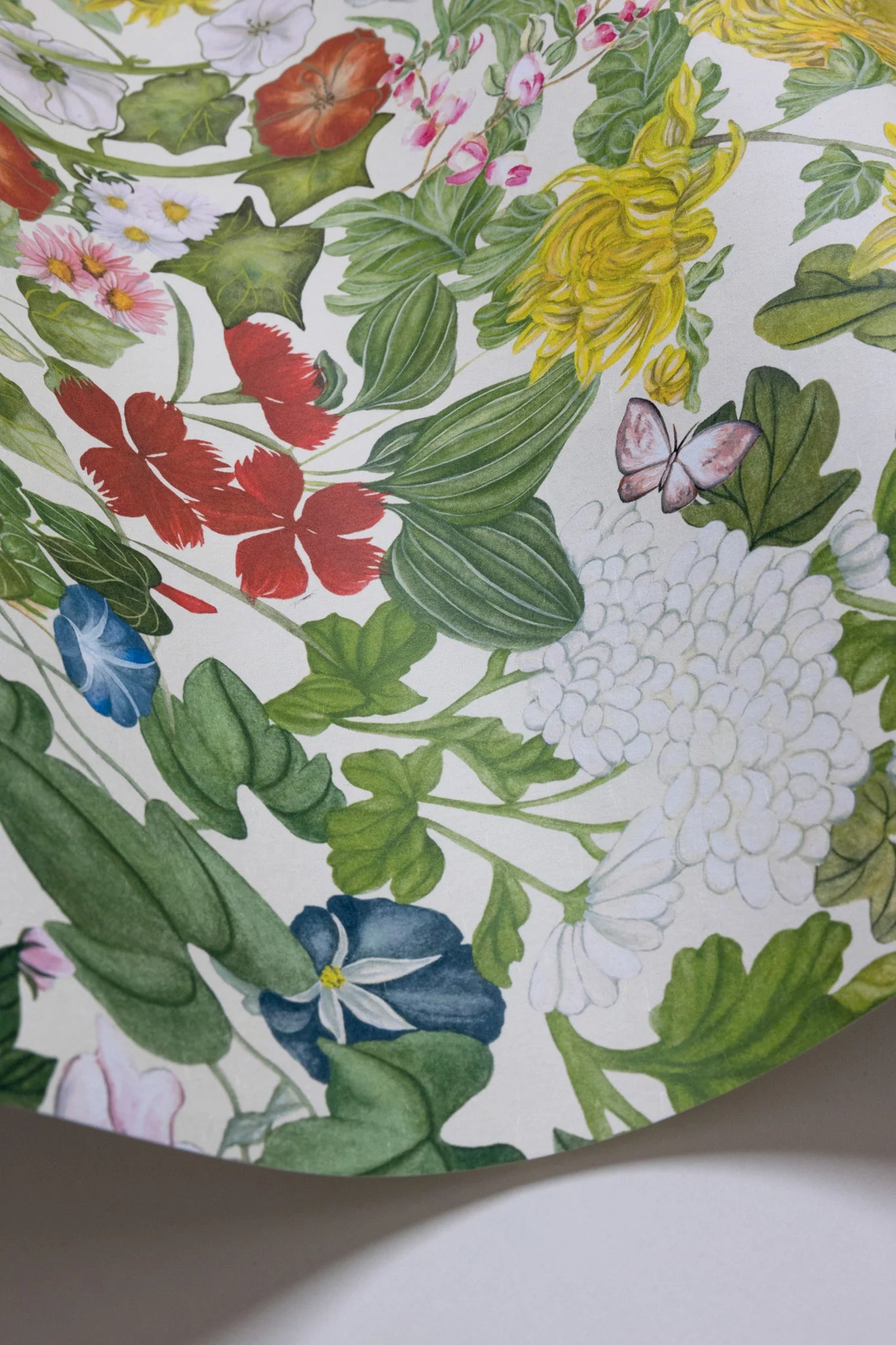 Flora Province wallpaper by Cole & Son 126/8030