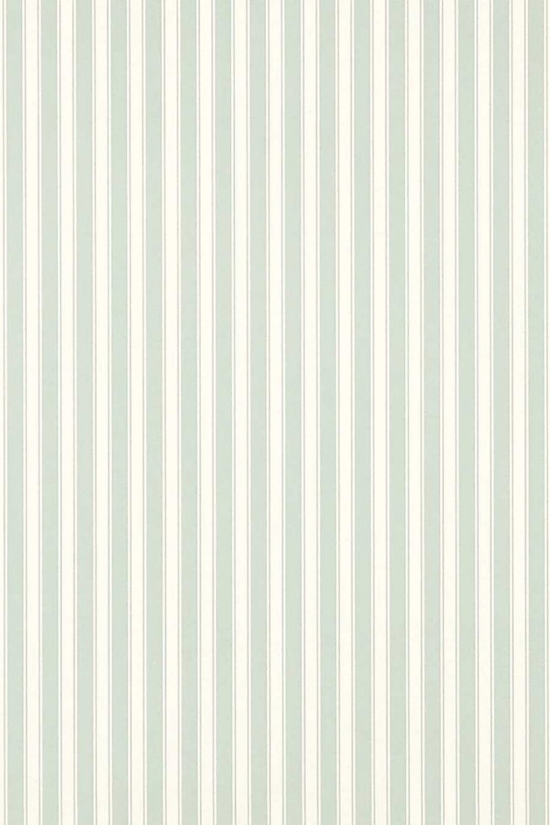 New Tiger Stripe Wallpaper DCAVTP102 by Sanderson