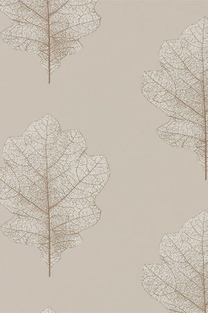 Oak Filigree Wallpaper DWOW215698 by Sanderson