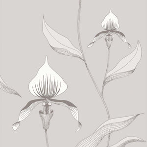 Orchid Restyled Wallpaper 95-10055 by Cole & Son