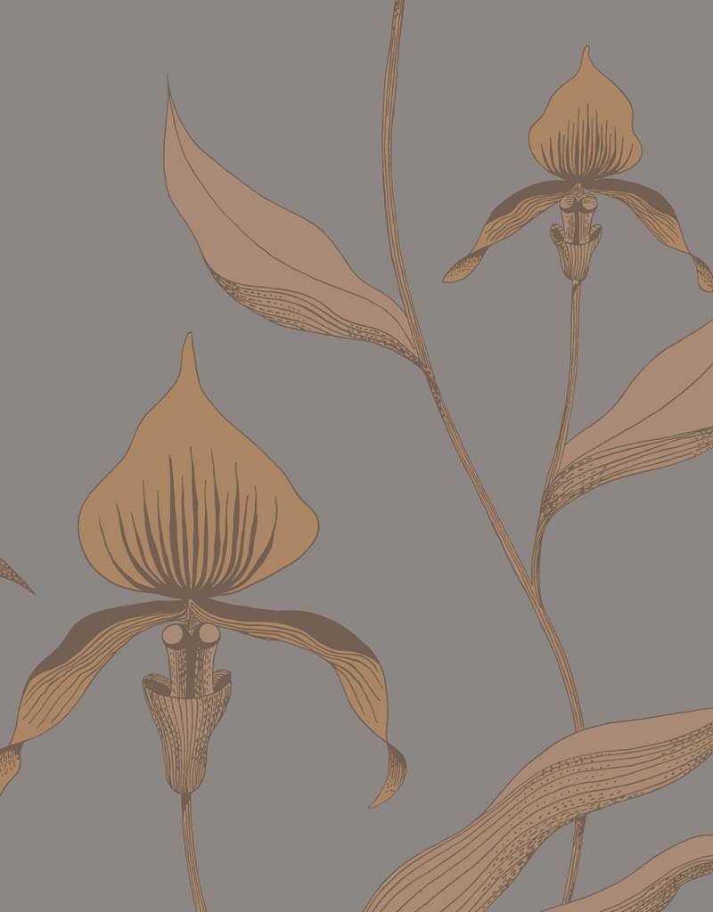 Orchid Restyled Wallpaper 95-10056 by Cole & Son