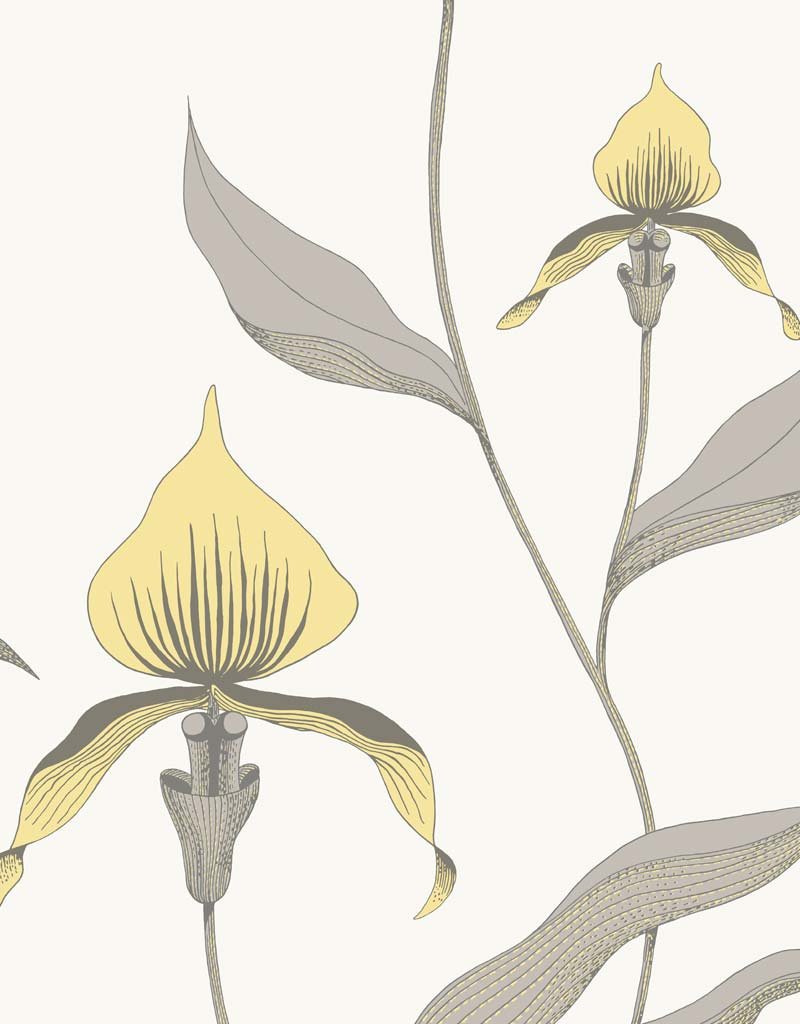 Orchid Restyled Wallpaper 95-10057 by Cole & Son