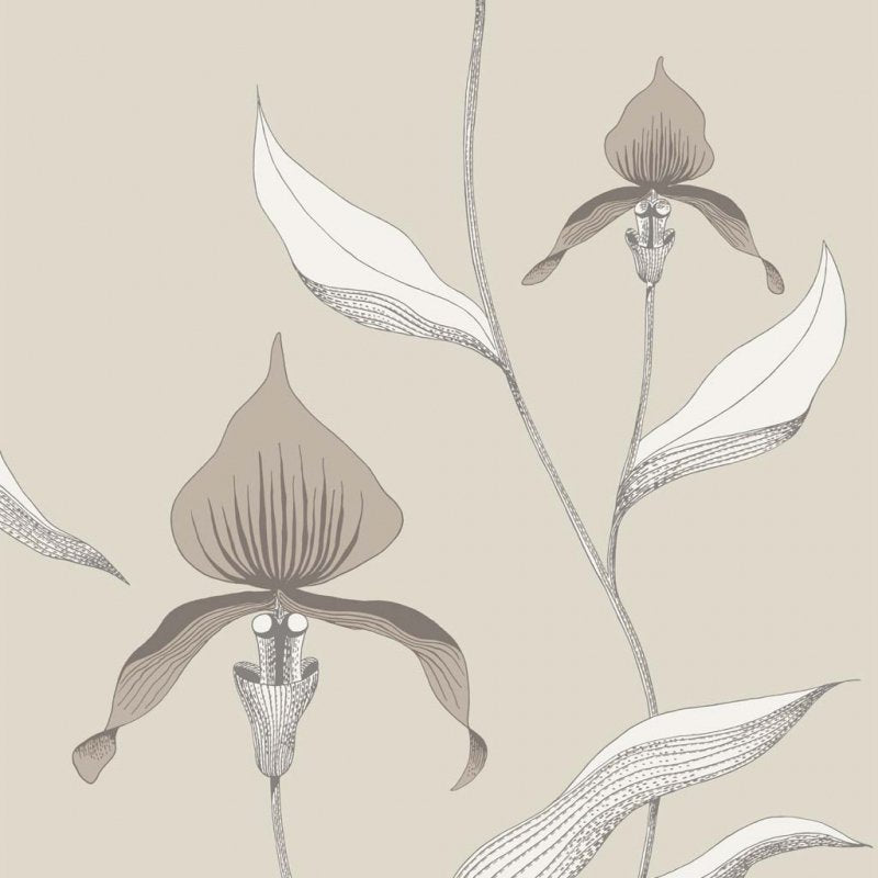 Orchid Restyled Wallpaper 95-10058 by Cole & Son
