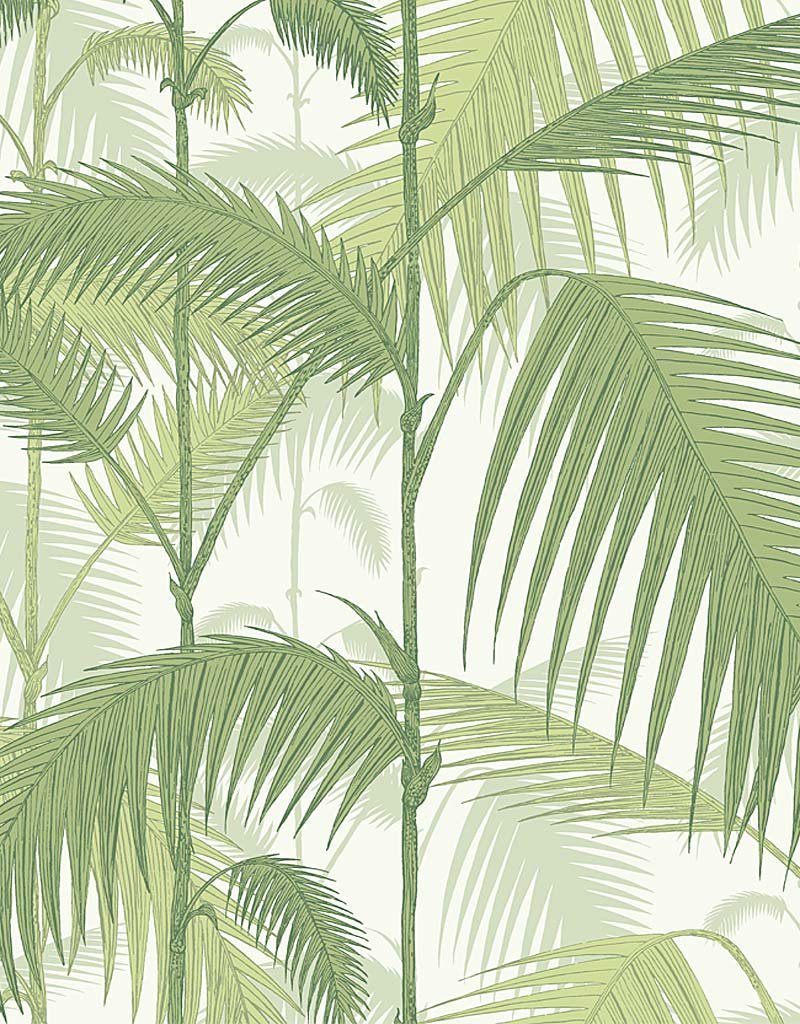 Palm Jungle Restyled Wallpaper 95-1001 by Cole & Son
