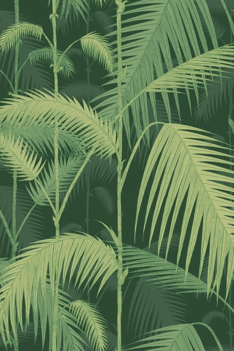 Palm Jungle Wallpaper 112-1003 by Cole & Son