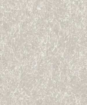 Panthera Wallpaper 65870 by Holden Decor