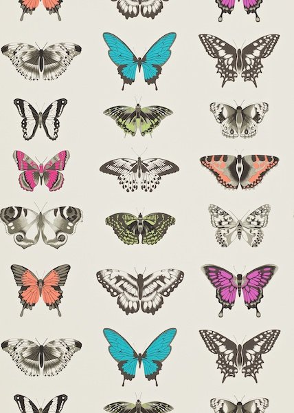 Papilio Wallpaper HAMA111079 by Harlequin