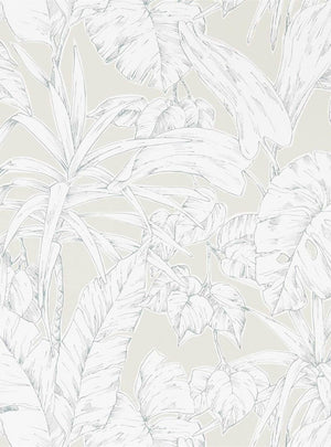 Parlour Palm Wallpaper NZAW112026 by Scion