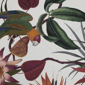 Parrot Wallpaper 108601 by Superfresco Easy