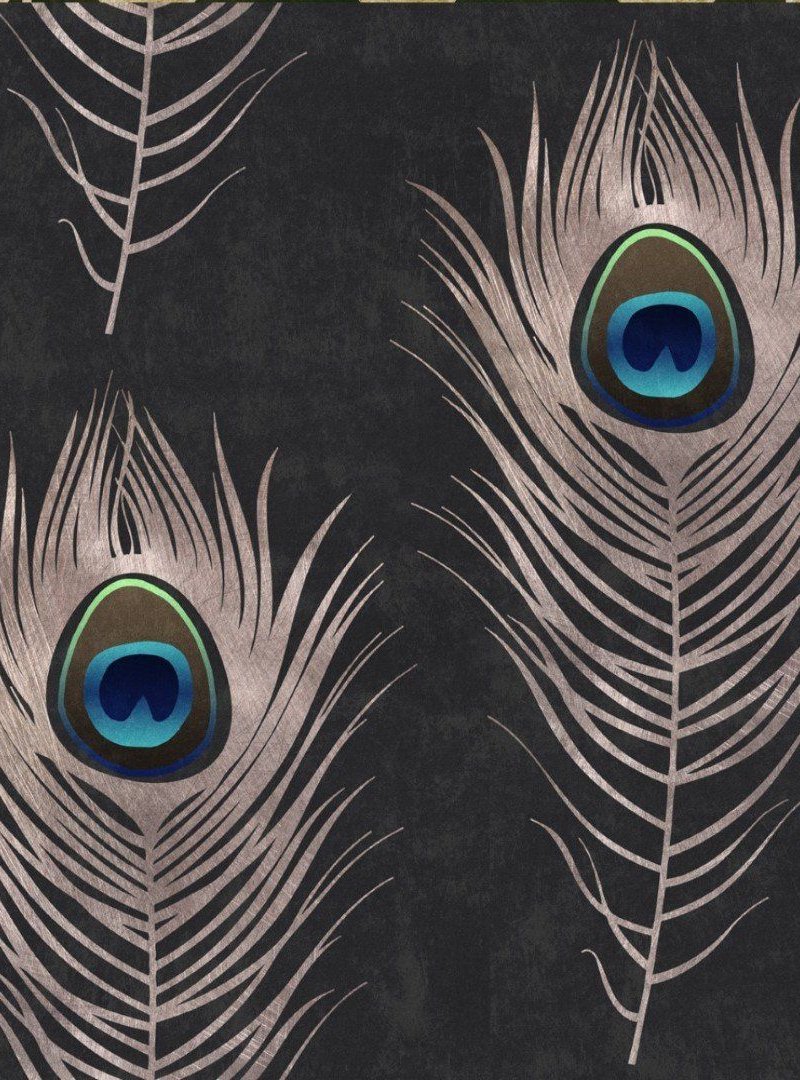 Peacock Wallpaper WP20230 by Mind The Gap