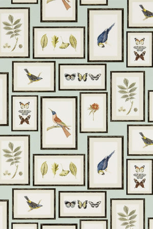 Picture Gallery Wallpaper DVOY213400 by Sanderson