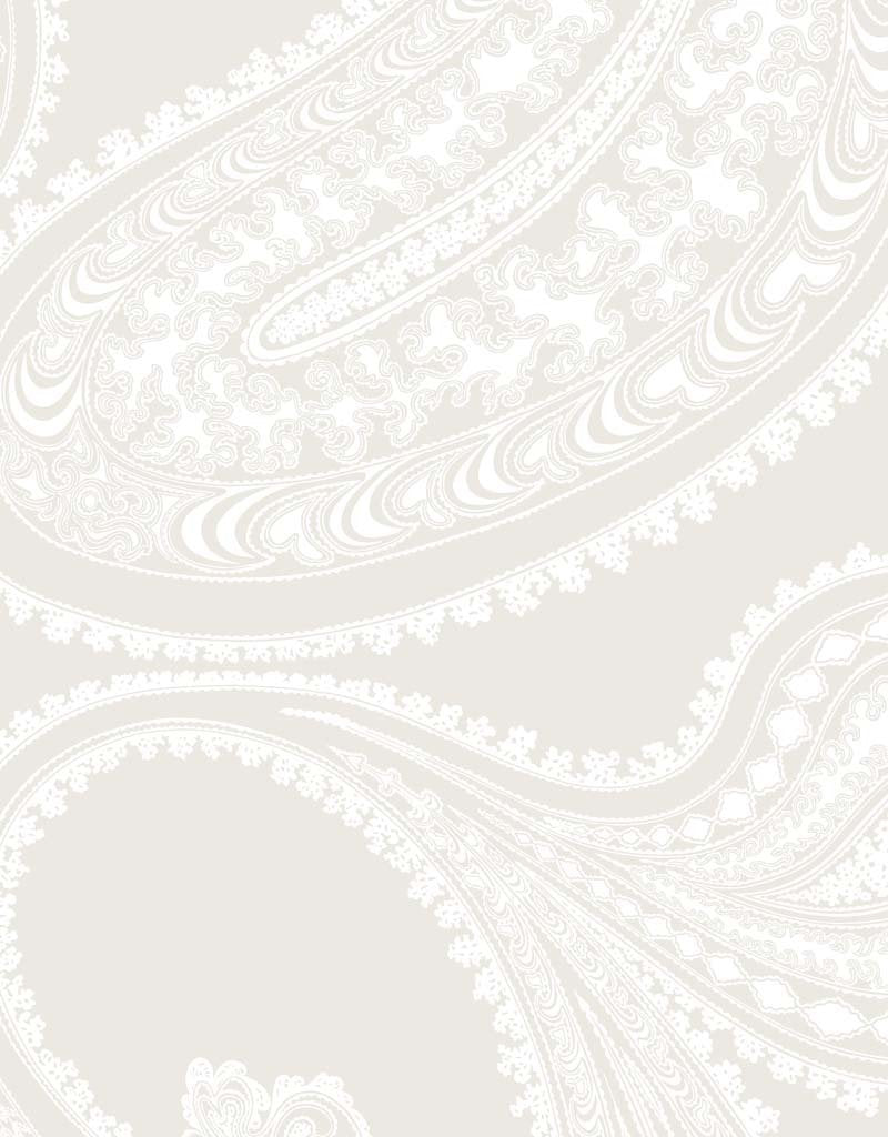 Rajapur Restyled Wallpaper 95-2010 by Cole & Son