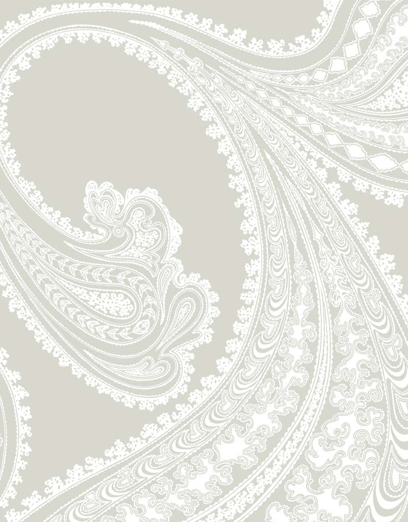Rajapur Restyled Wallpaper 95-2011 by Cole & Son