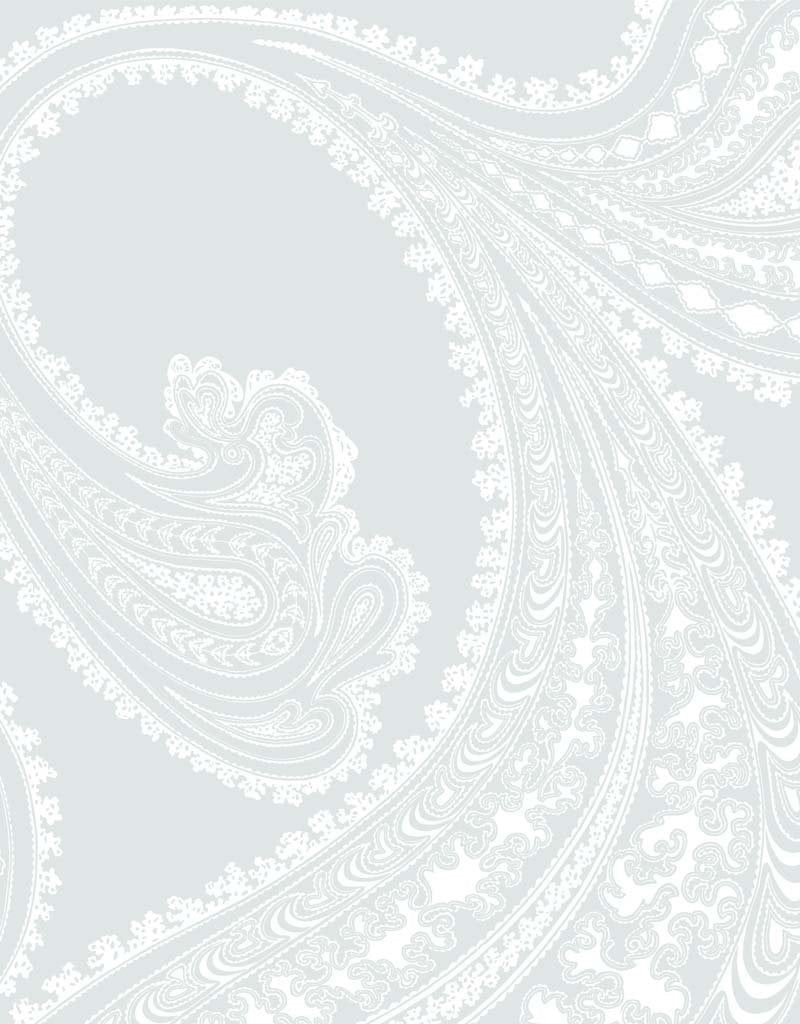 Rajapur Restyled Wallpaper 95-2013 by Cole & Son