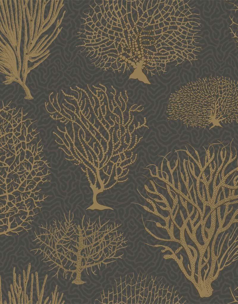 Seafern Wallpaper 107-2006 by Cole & Son