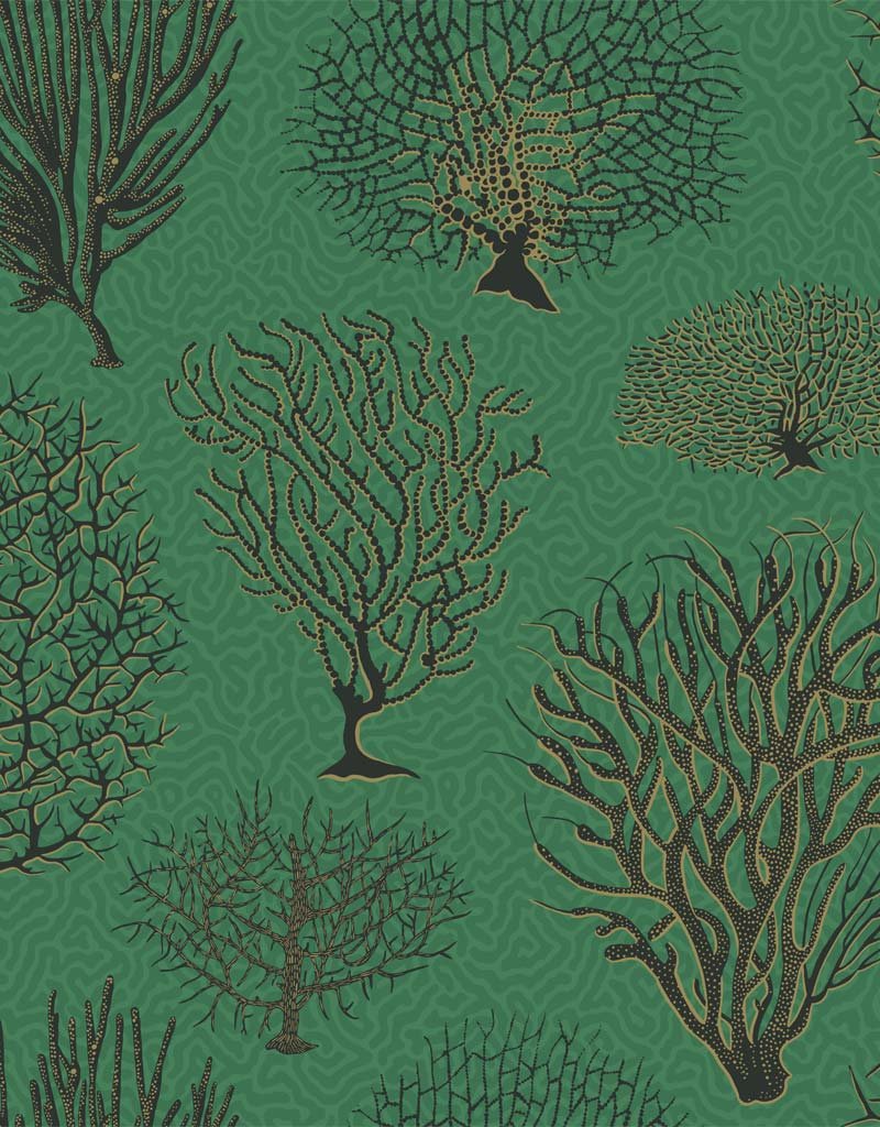 Seafern Wallpaper 107-2007 by Cole & Son