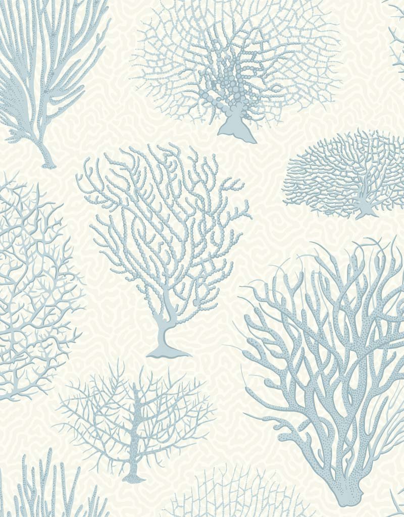 Seafern Wallpaper 107-2009 by Cole & Son