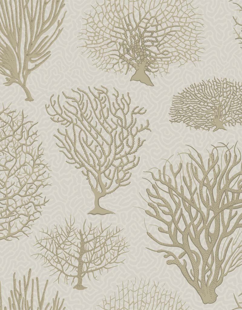 Seafern Wallpaper 107-2010 by Cole & Son