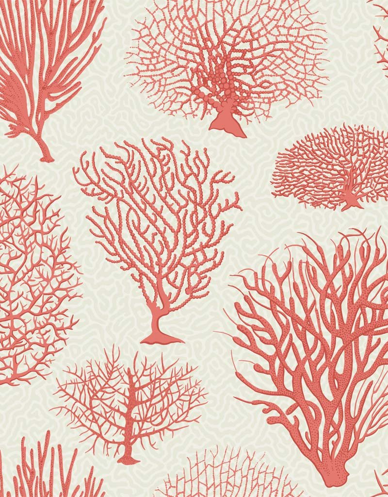 Seafern Wallpaper 107-2011 by Cole & Son