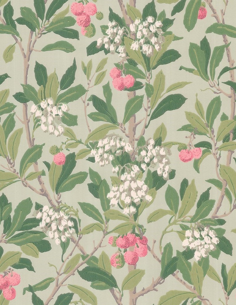 Strawberry Tree Wallpaper 100-10048 by Cole & Son