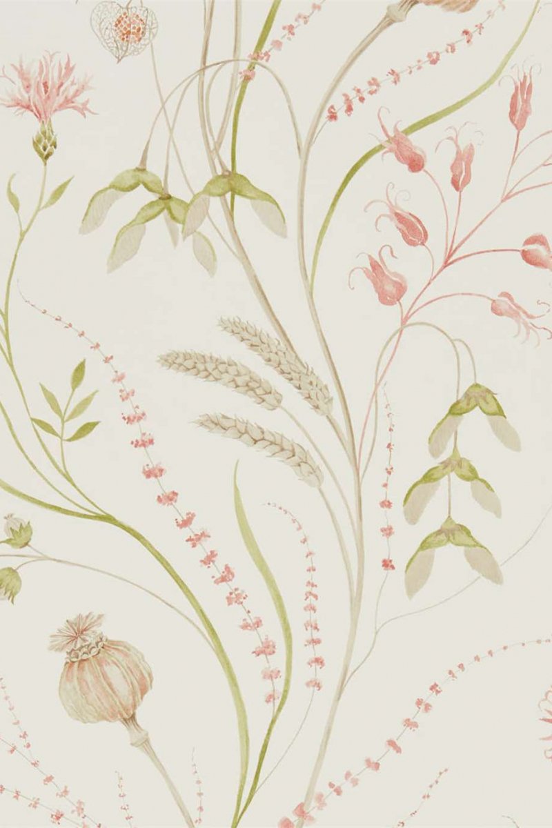 Summer Harvest Wallpaper DEBB216495 by Sanderson