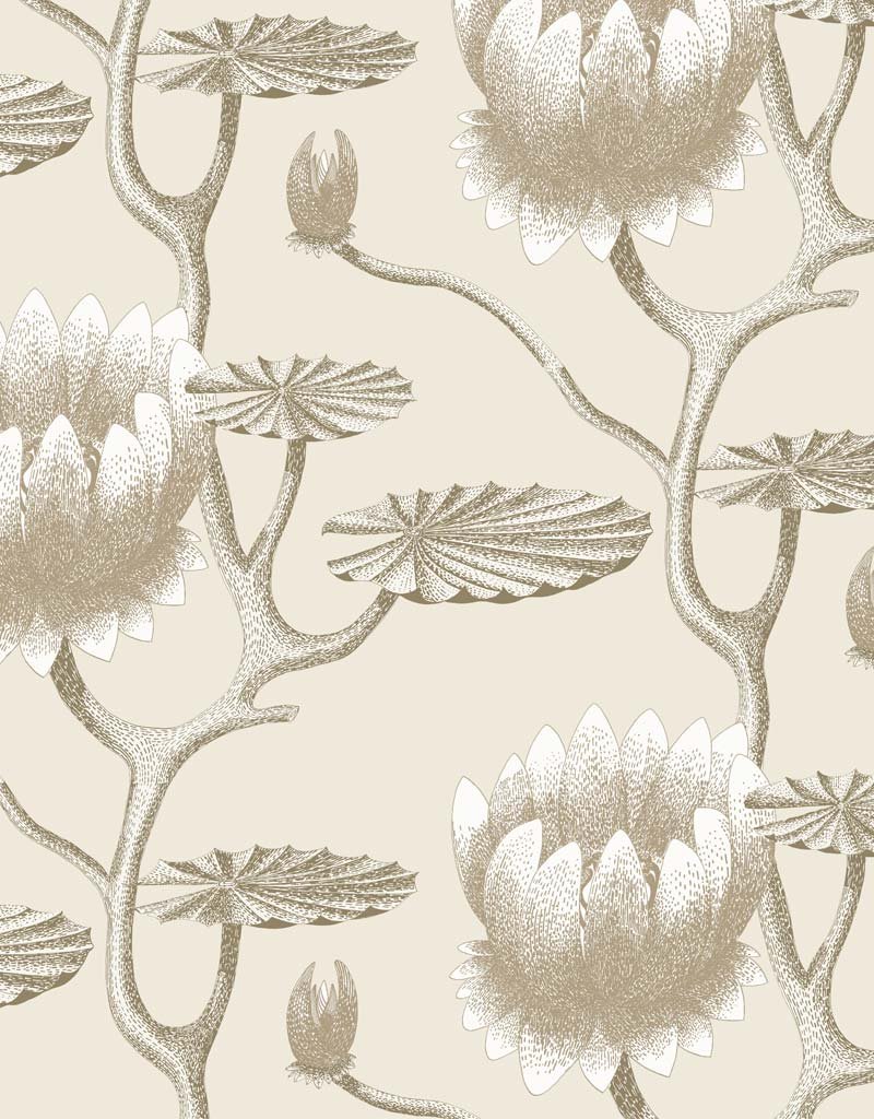 Summer Lily Restyled Wallpaper 95-4025 by Cole & Son