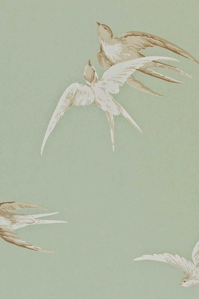Swallows Wallpaper DVIWSW102 by Sanderson