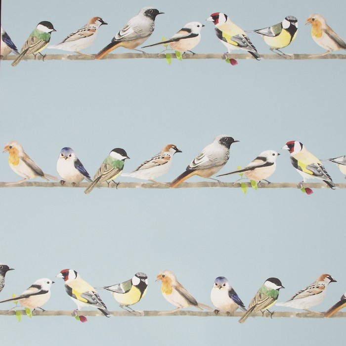 Tweeting Wallpaper 106628 by Fresco