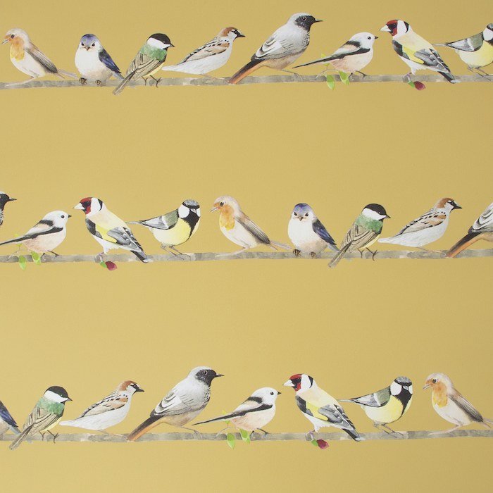 Tweeting Wallpaper 107979 by Fresco