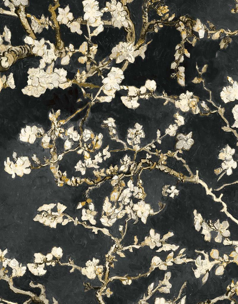 Van Gogh Almond Blossom Wallpaper 17145 by Tektura